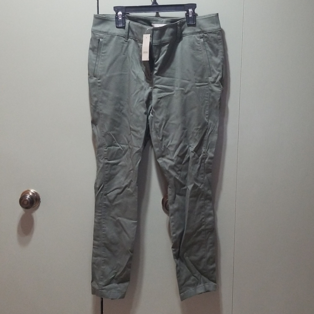 Loft Marisa Pants